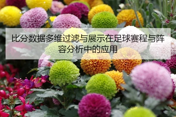 比分数据多维过滤与展示在足球赛程与阵容分析中的应用
